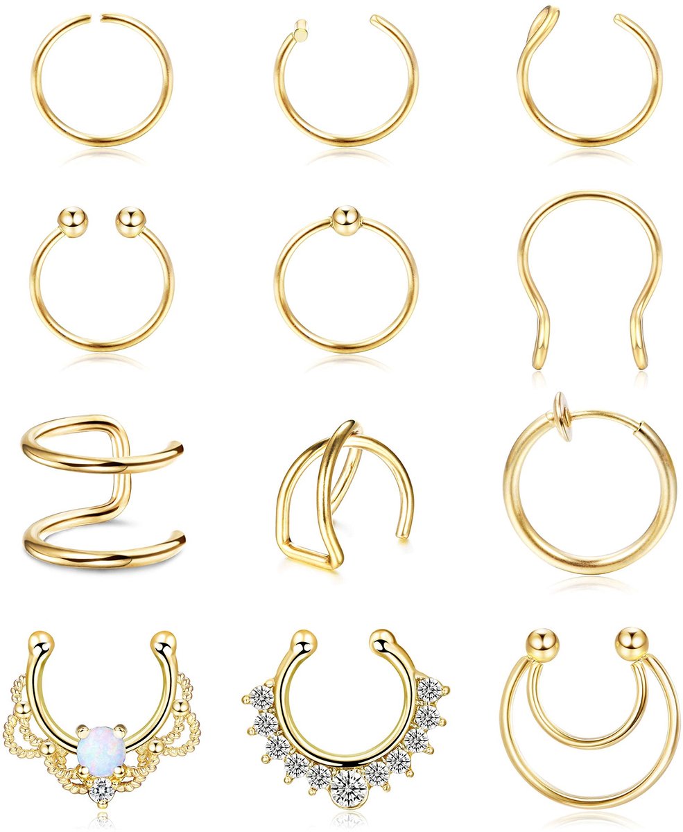 Dailygoods - Set van 12 Nepneusringen en Hoepels in Diverse Stijlen