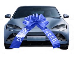 Grote Blauwe Strik (58 cm) voor Auto, Fiets, Kerst, Bruiloft en Feest - Perfecte Cadeau Strik voor Elke Gelegenheid