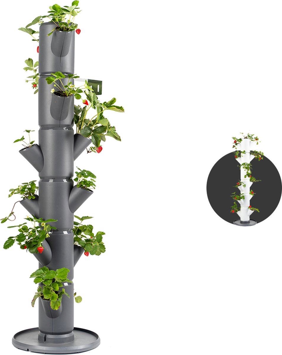 Gusta Garden - Sissi Strawberry - Aardbeien Planten - Aardbeienzak - Kweekbak - Kweektafel - Plantentoren met 6 Levels - Klassiek Antraciet