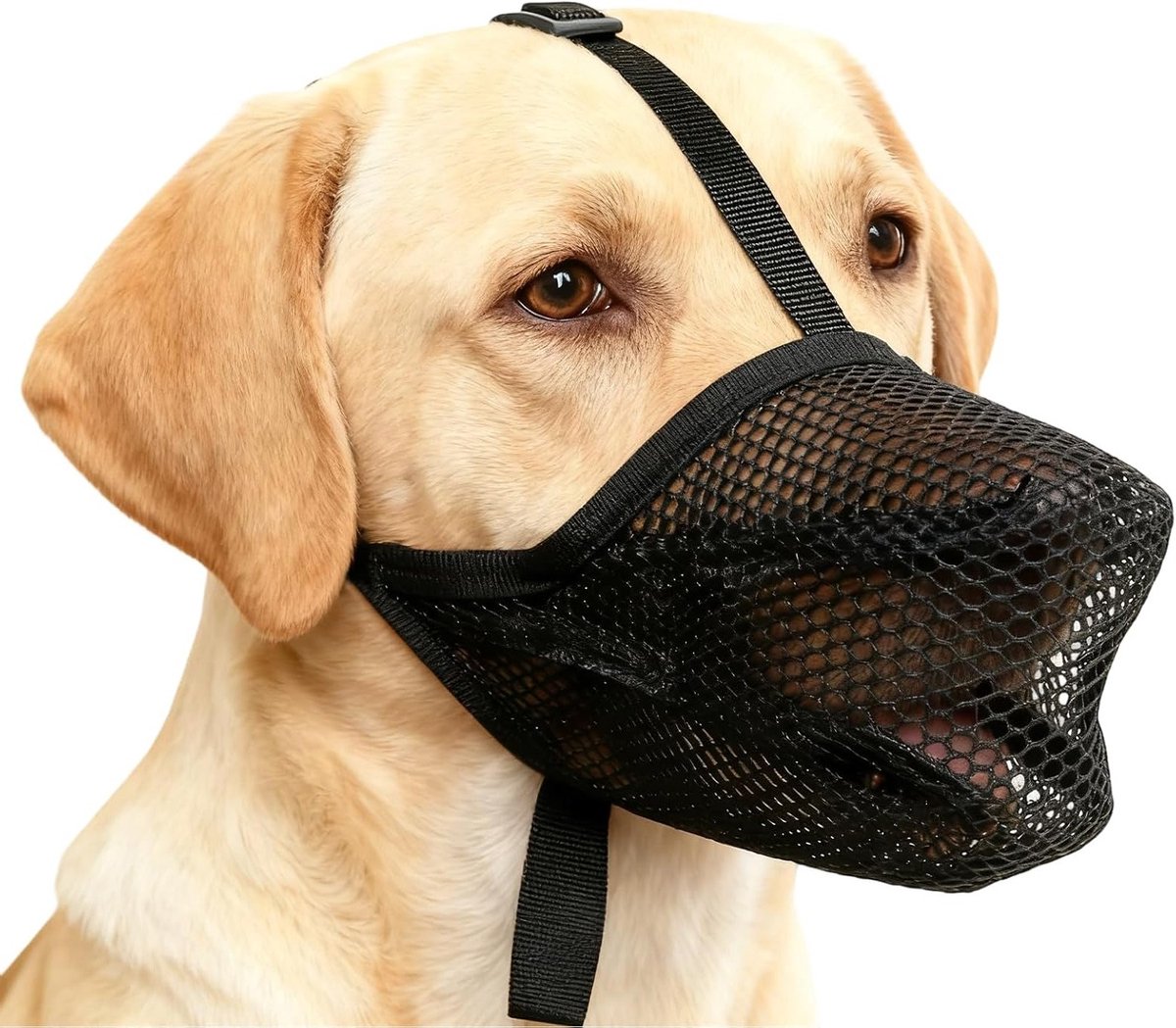 Verstelbare nylon hondenmuilkorf maat M, herbruikbaar en veilig om bijten te voorkomen, ideaal voor training en wandelen