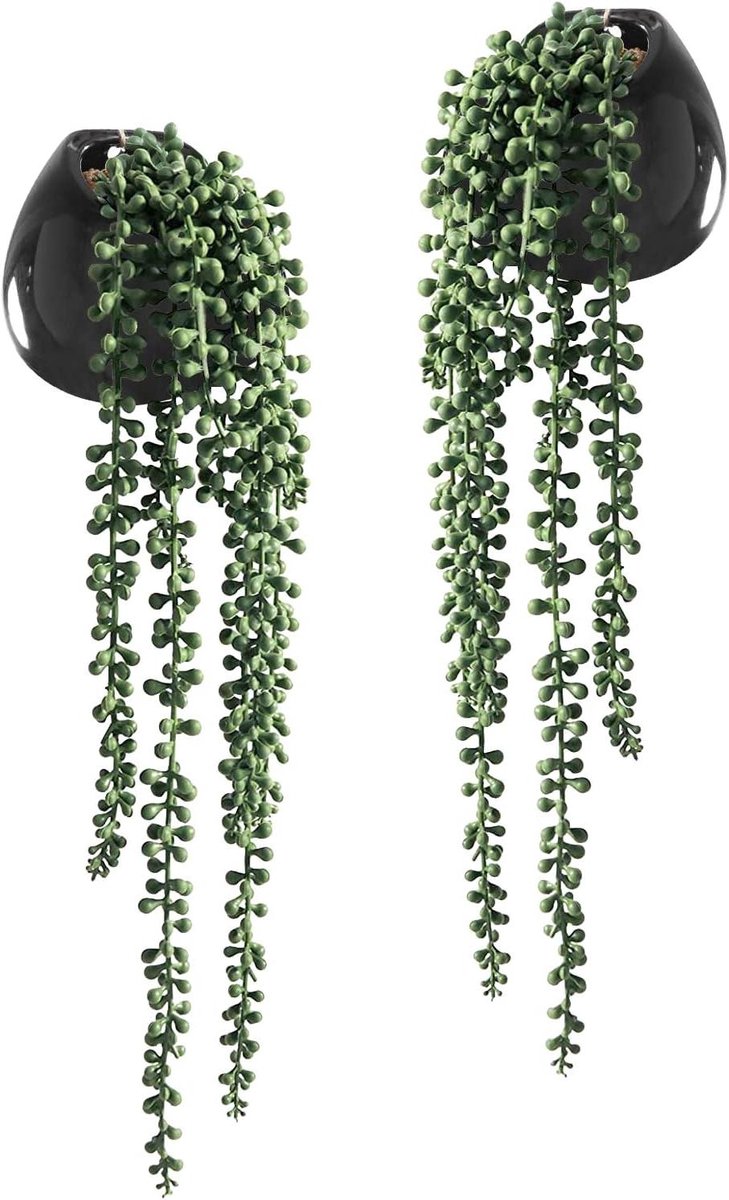 Kunstmatige Vetplanten - Nep Hangplanten - Decoratie Ruimte - Realistisch en Onderhoudsvrij - 2 stuks - Groen