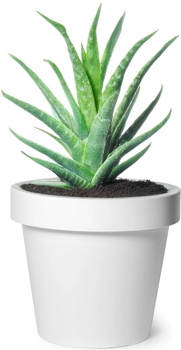 Mega Collections Plantenpot/bloempot - kunststof - wit - buiten - D20 x H18 cm