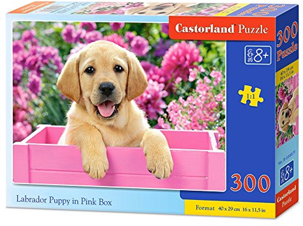 Kleurrijke 300 Delige Puzzel van Labrador Puppy