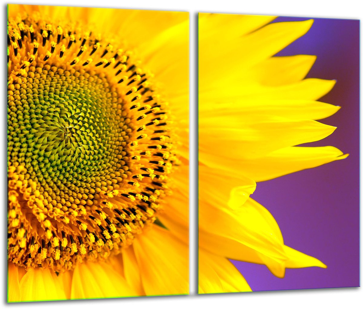 TMK ArtDeko - Snijplank - 2x 30x52 cm - Glazen Bloemenmotief - Veilig