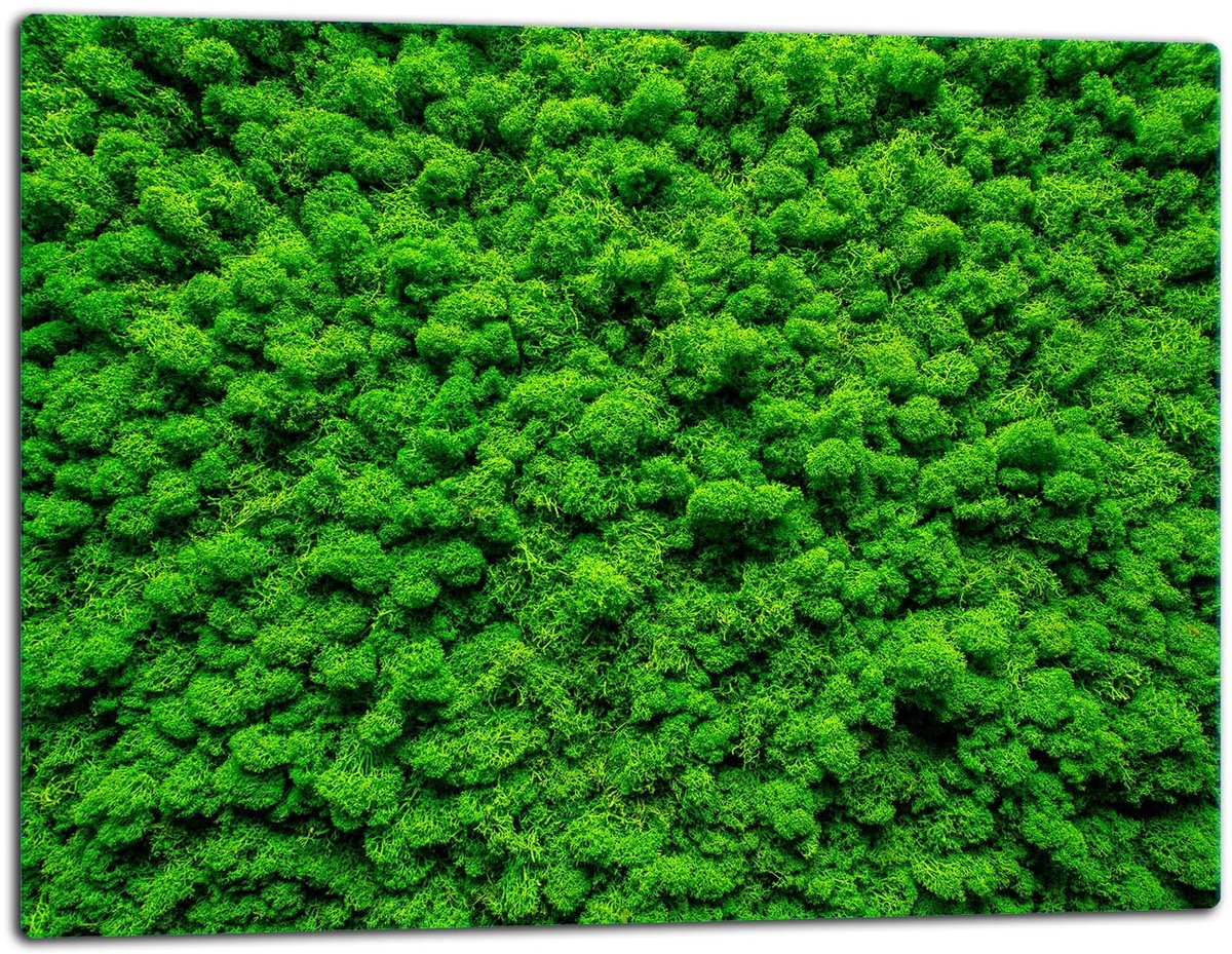 TMK ArtDeko - Snijplank - Glas - 52x40 cm - Groen