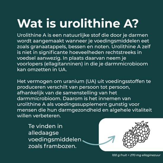 Afbeelding van twee frambozen met tekst 'Wat is urolithine A?' en uitleg over de bron van urolithine A.