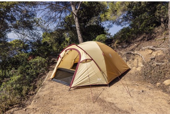 Coleman Darwin Summer 4 Plus van Merkloos — afbeelding 2