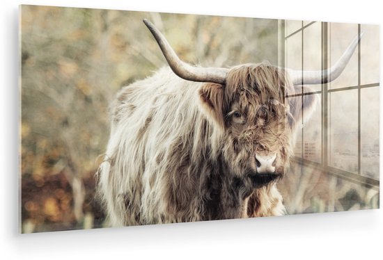 Zijaanzicht van een glanzend Schotse Hooglander glasschilderij met een raamreflectie.