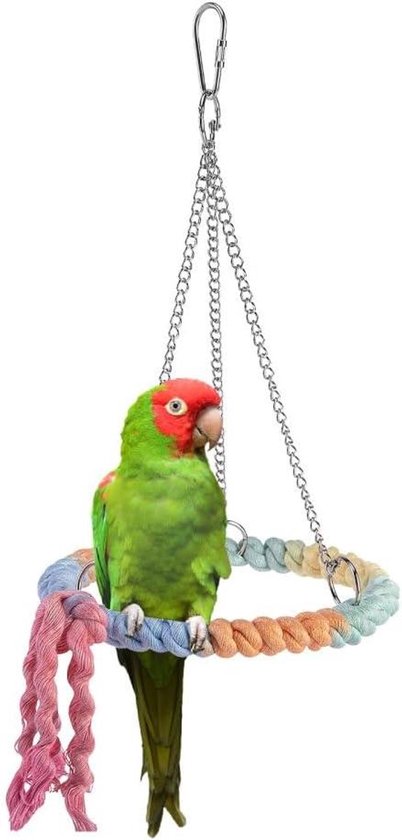 View of Swinging Bird Swing Stand Made of Cotton Rope - Hanging Cage Perch Toy ...