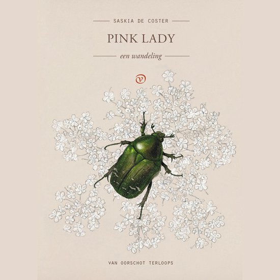 Pink Lady - cover