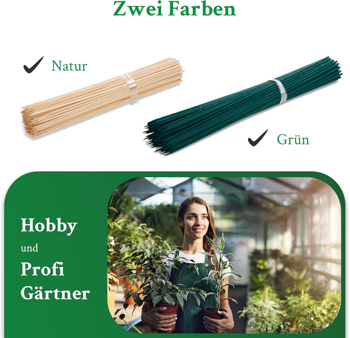 Tuteur en bambou plastifié 150 cm, diamètre 12-14 mm. 25 unités
