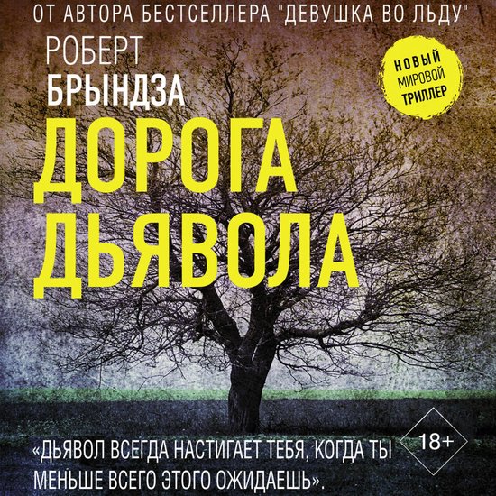 Дорога дьявола - cover