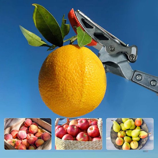 Snoeischaar - Heggenschaar - Tuingereedschap - Boomtak Snijder - Lang Bereik - Lichtgewicht en Sterk - Boom en Fruitplukker - Aluminium Handvat - voor Tuinieren - 111.7 x 11.7 x 2 cm - Zilver — afbeelding 4