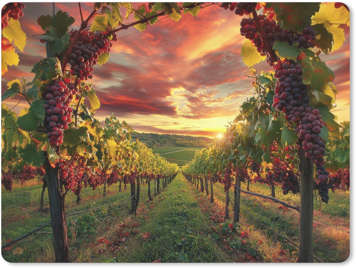 Muismat 23x19 cm - Mousepad Wijngaard - Druiven - Zonsondergang - Muismatten