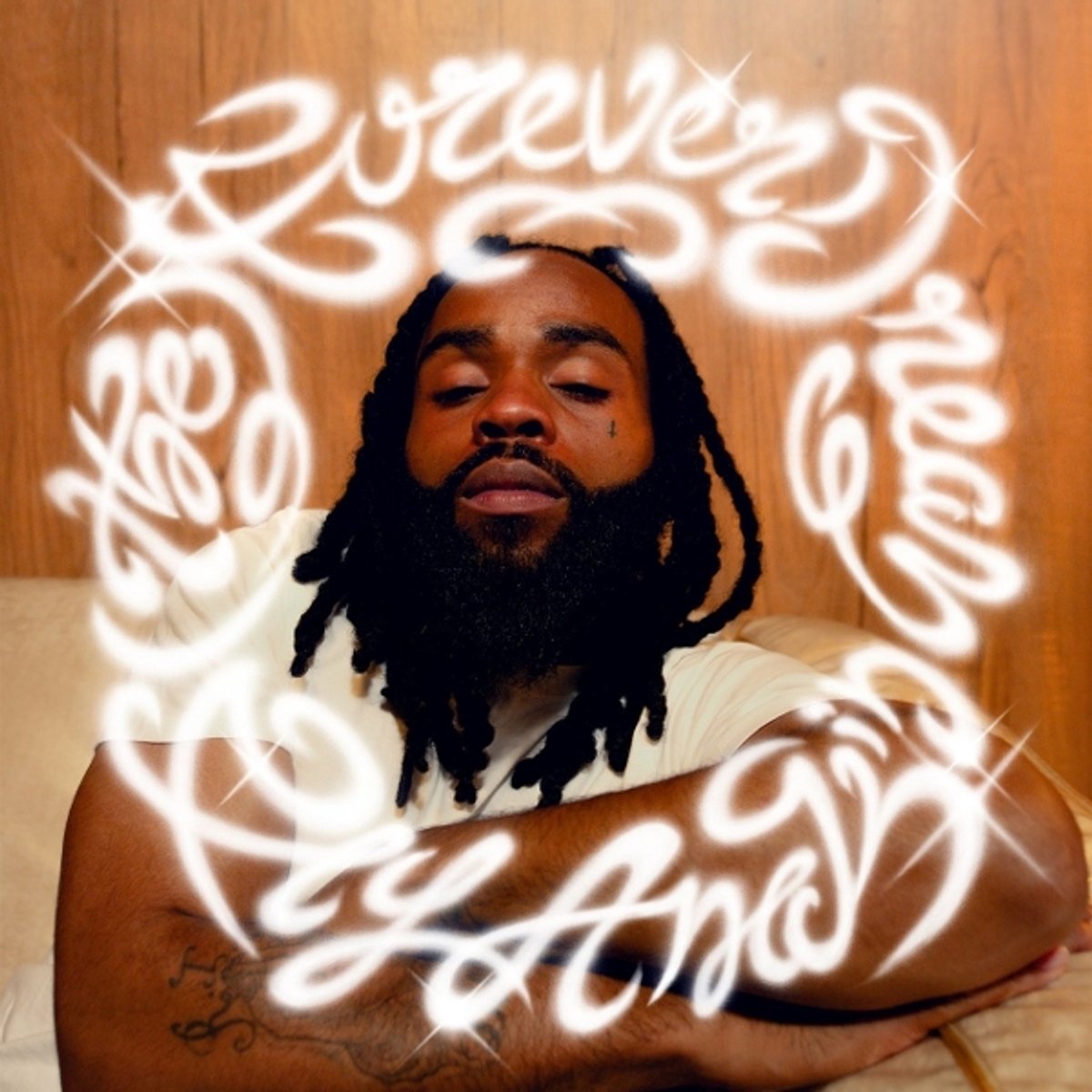 Fly Anakin - (The) Forever Dream (LP)