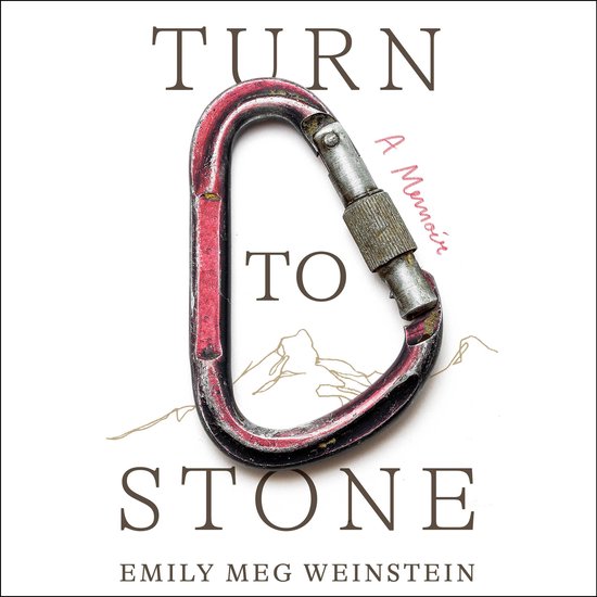 Turn to Stone - cover