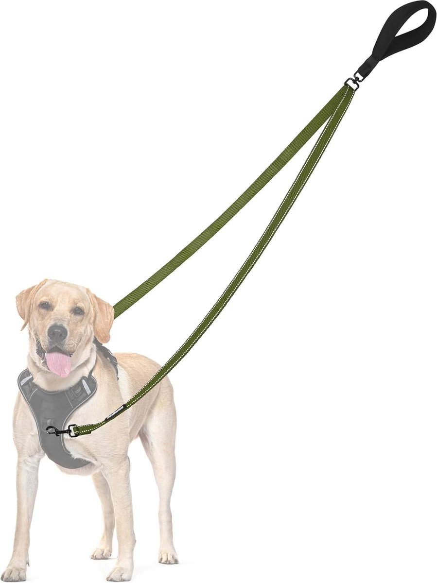 Hondenriem met Tweepuntscontrole en Gewatteerd Handvat - Perfect voor Training en Wandelen
