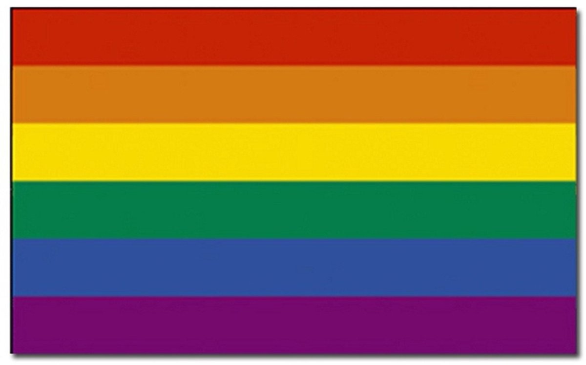 Gay Pride / LHBT regenboog vlag en schminkstift — afbeelding 2