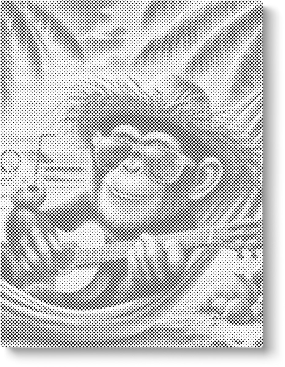 Aapje In Hangmat | Dot painting | 40x50cm | Dot painting | Oh My Dotz | Dots stippen | Diamond painting & Schilderen op nummer alternatief | Happy hobby