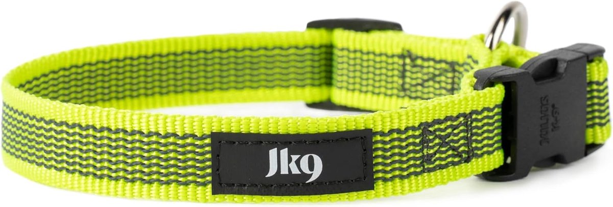 Neon-Grijze Halsband voor Honden - 20 mm (27-42 cm)