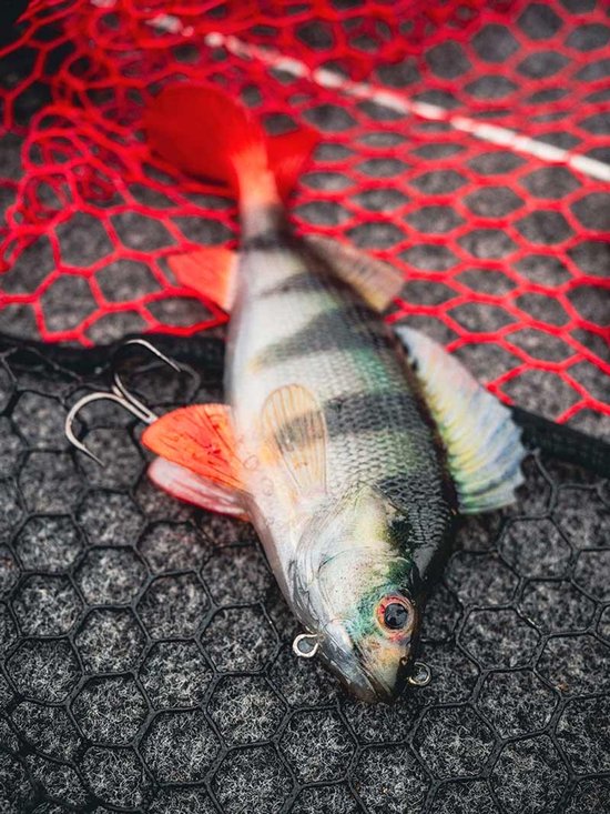 Fox Rage Ultra Realistic Perch Replicant - Maat : 10cm - 27g van Fox — afbeelding 4
