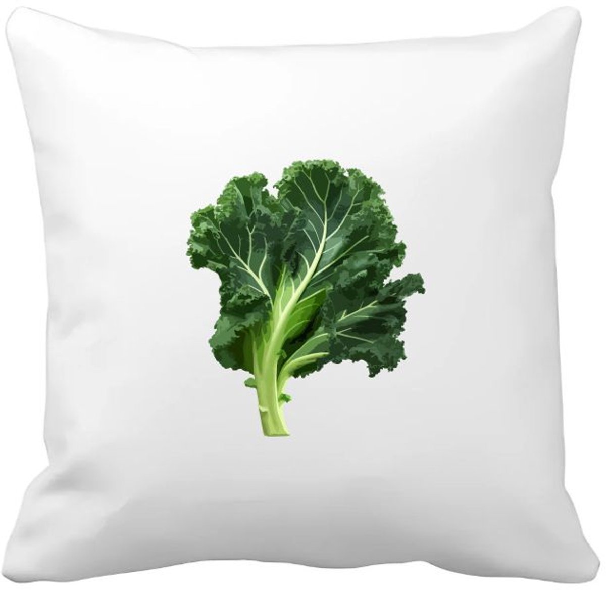 Akyol boerenkool Kussen hoes - Eten & drinken - junkfood - liefhebbers van groente en fruit - groente - gezond eten - eten - 40 bij 40 cm Multicolor