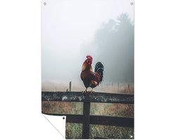 Haan in de ochtendmist - Haan posters - Poster van buiten dieren - Realisme - Tuinaccessoires - Tuinschilderij - tuinposter 30x45 cm