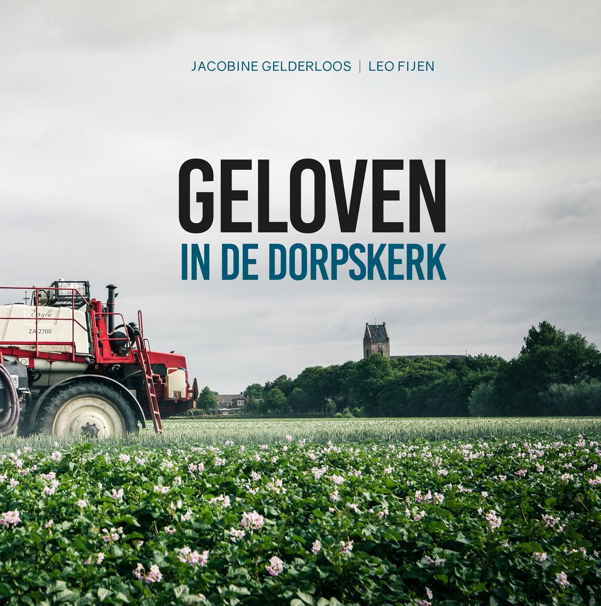 Omslag van Geloven in de dorpskerk
