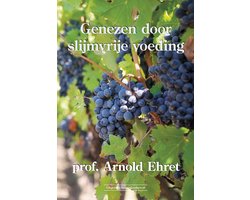 Genezen door slijmvrije voeding