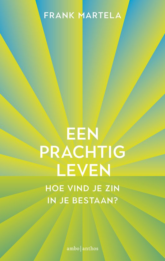 Een prachtig leven - cover