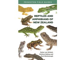 Reptiles and Amphibians of New Zealand