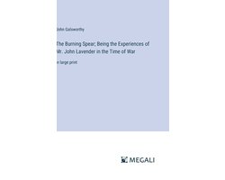 Omslag van The Burning Spear; Being the Experiences of Mr. John Lavender in the Time of War