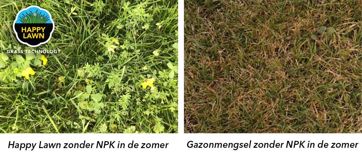 Barenbrug gras- en bloemenzaad 0,5kg tot 25 m2- Happy Lawn