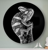 HIP ORGNL Schilderij Chameleon - Kameleon - ⌀120cm - Wandcirkel dieren - Zwart wit