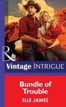 Bundle of Trouble (Mills & Boon Intrigue)