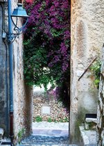 Tuindoek Bougainville Steeg 210x150 cm