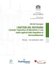 Laboratorio di Villa Fabris 3 - I batteri nel restauro