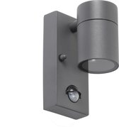 QAZQA solo - Moderne Buitenlamp met Bewegingsmelder | Bewegingssensor | sensor Up Down voor buiten - 1 lichts - D 105 mm - Donkergrijs - Buitenverlichting