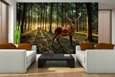 Deer Forest Trees Nature Photo Wallcovering