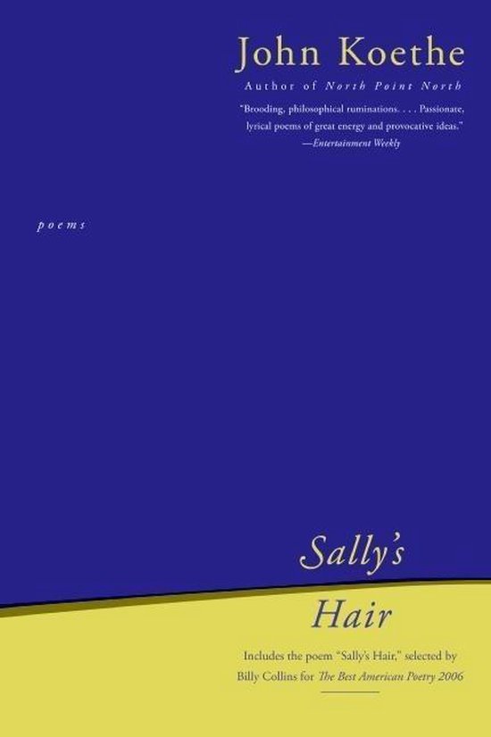 Sally's Hair - cover