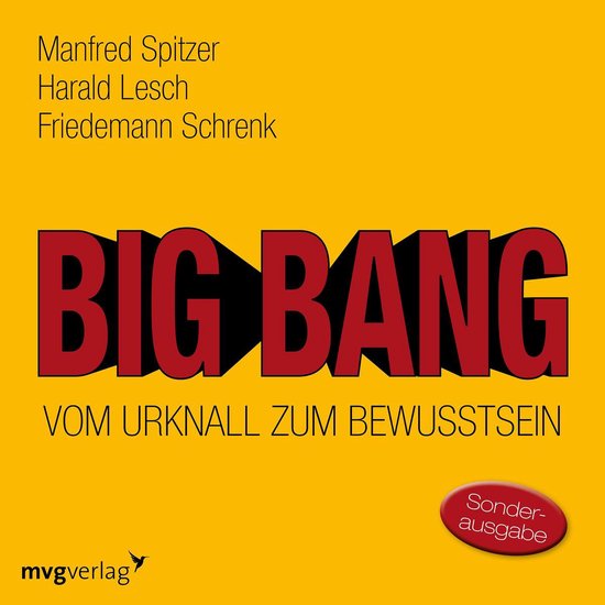 Big Bang: Vom Urknall zum Bewusstsein - cover