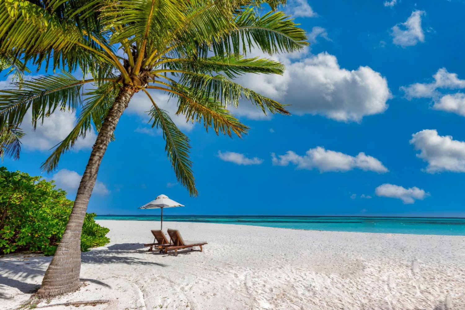 Vgdesign Wit tropisch strand 130x70 cm tuinposter banner VGDesign onbekend