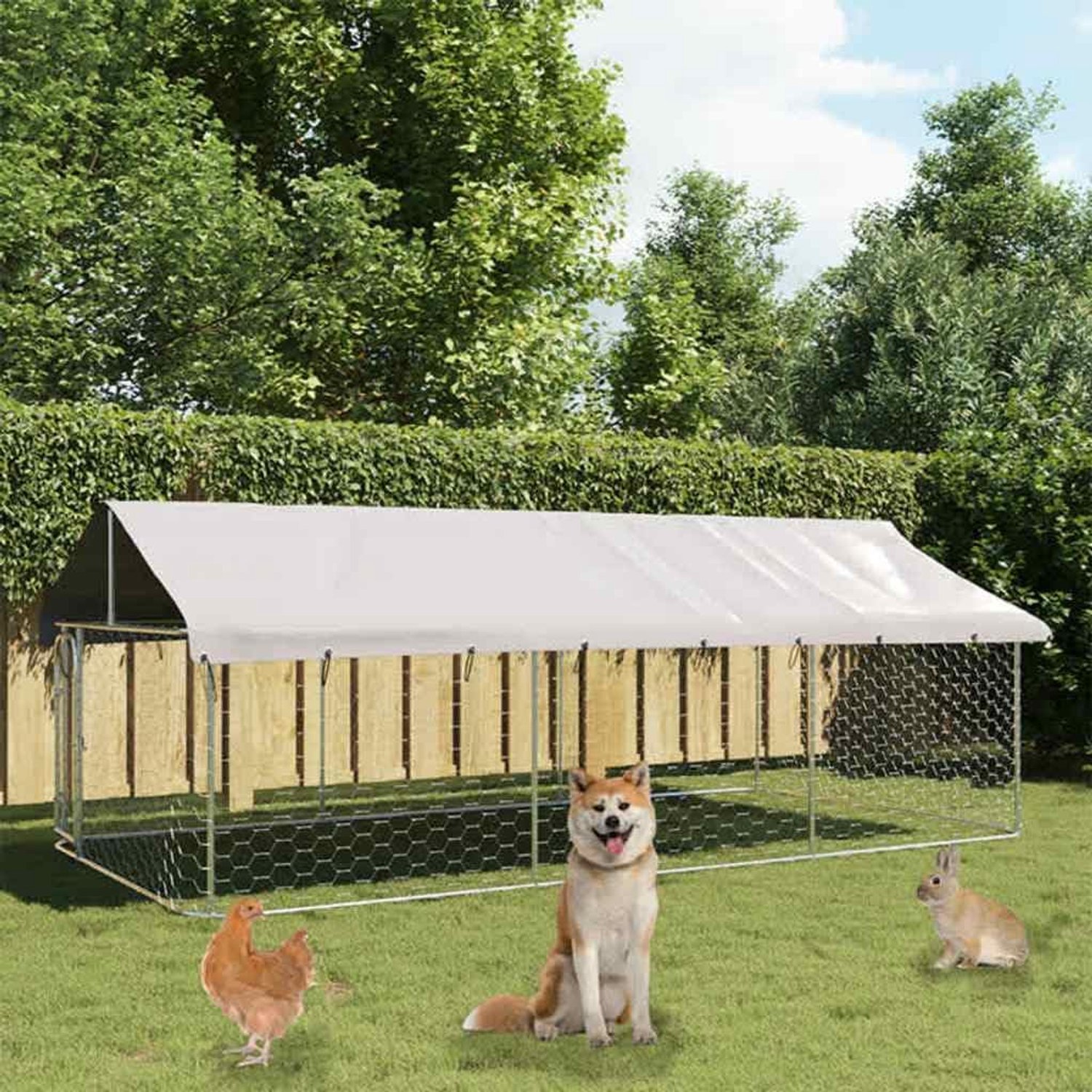 Vrijloopren voor honden, 400 x 200 x 150 cm, met dak van verzinkt staal