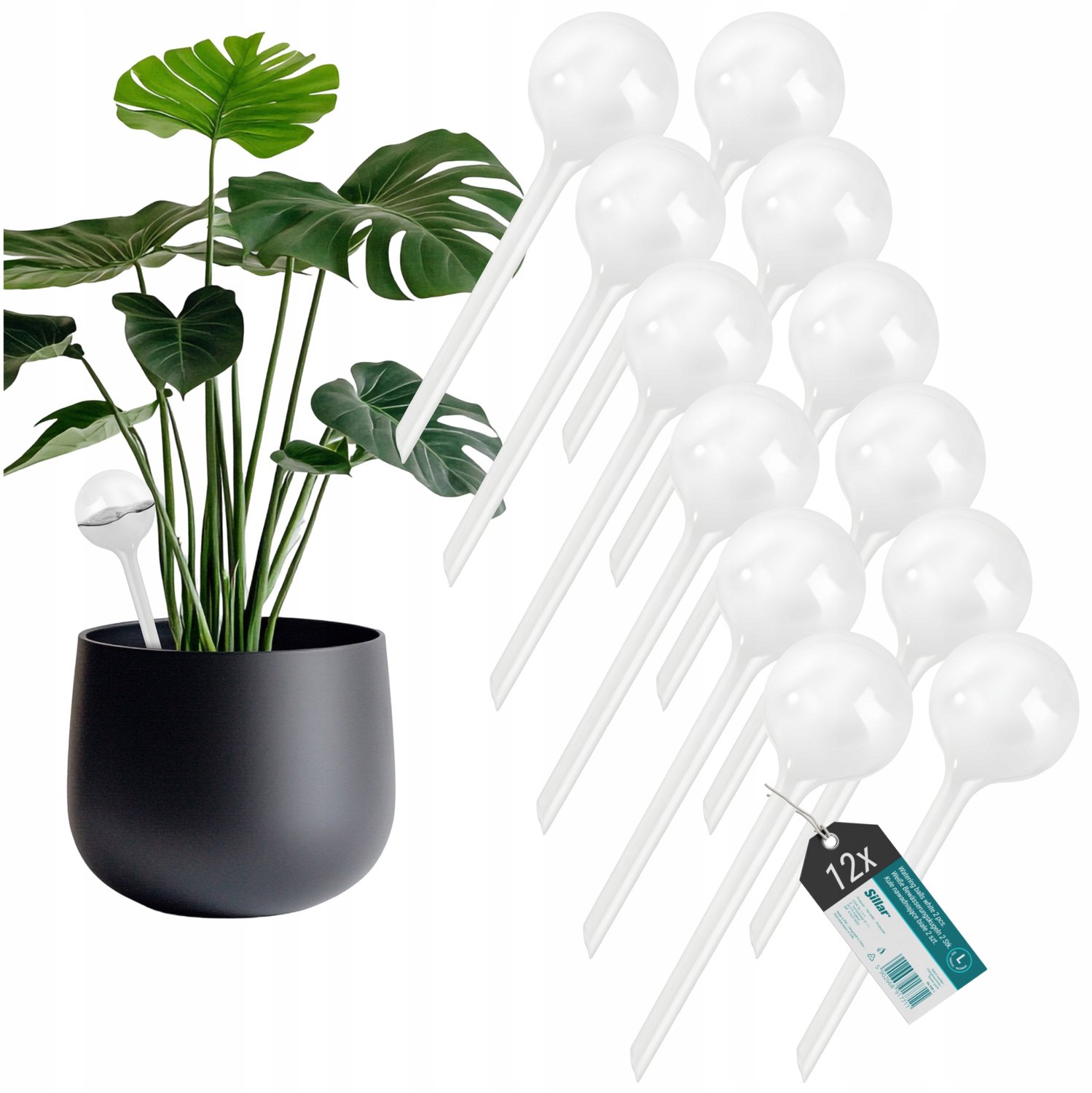 12x Zelfwatergevende Ballen 250ml voor Planten - Automatische Watergift