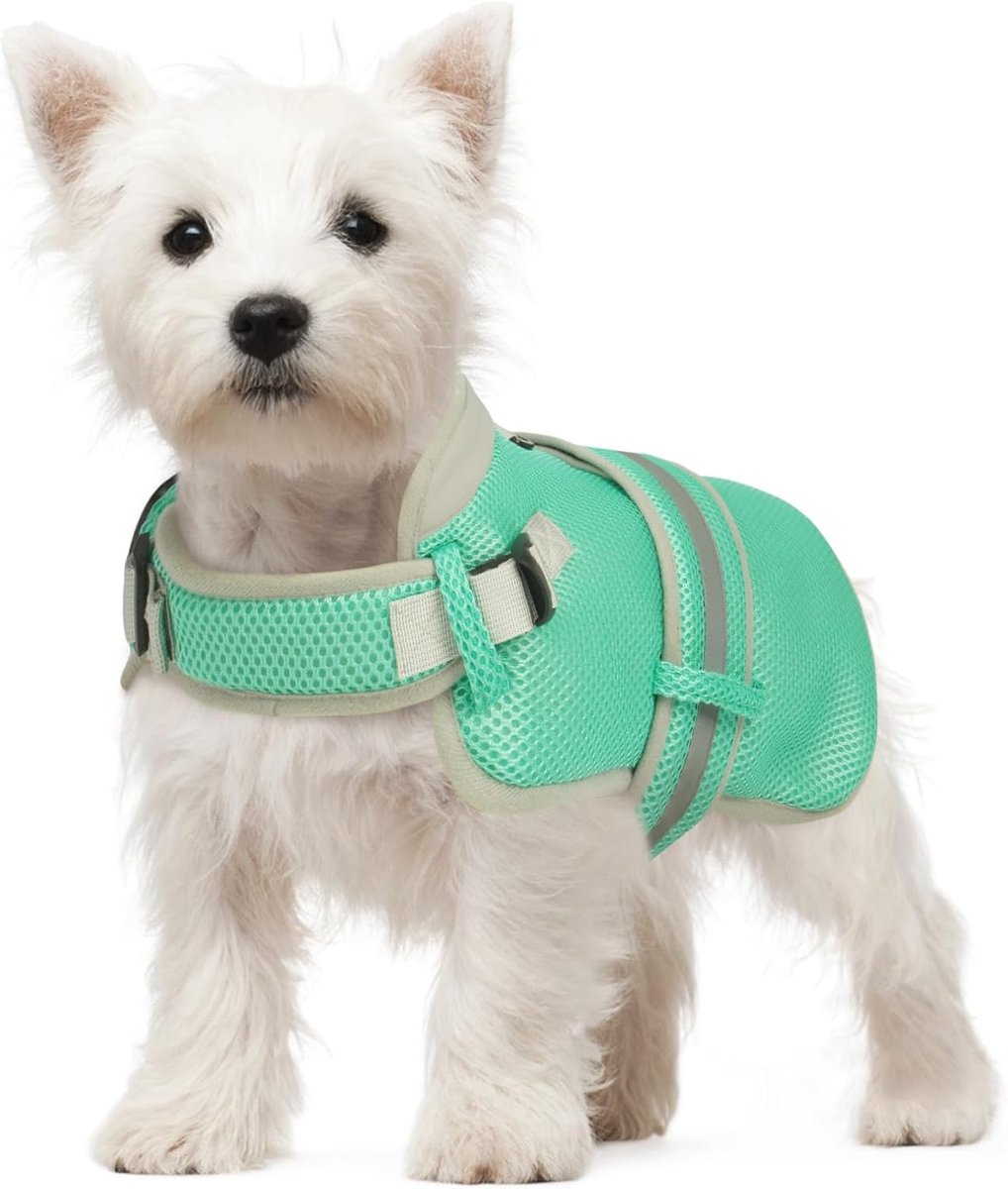 Hondenkoelvest voor kleine middelgrote grote honden | Effectieve koeling door ademend mesh – Verstelbaar, reflecterend & veilig | Zomerjas voor wandelingen, hiken (Groen, S)