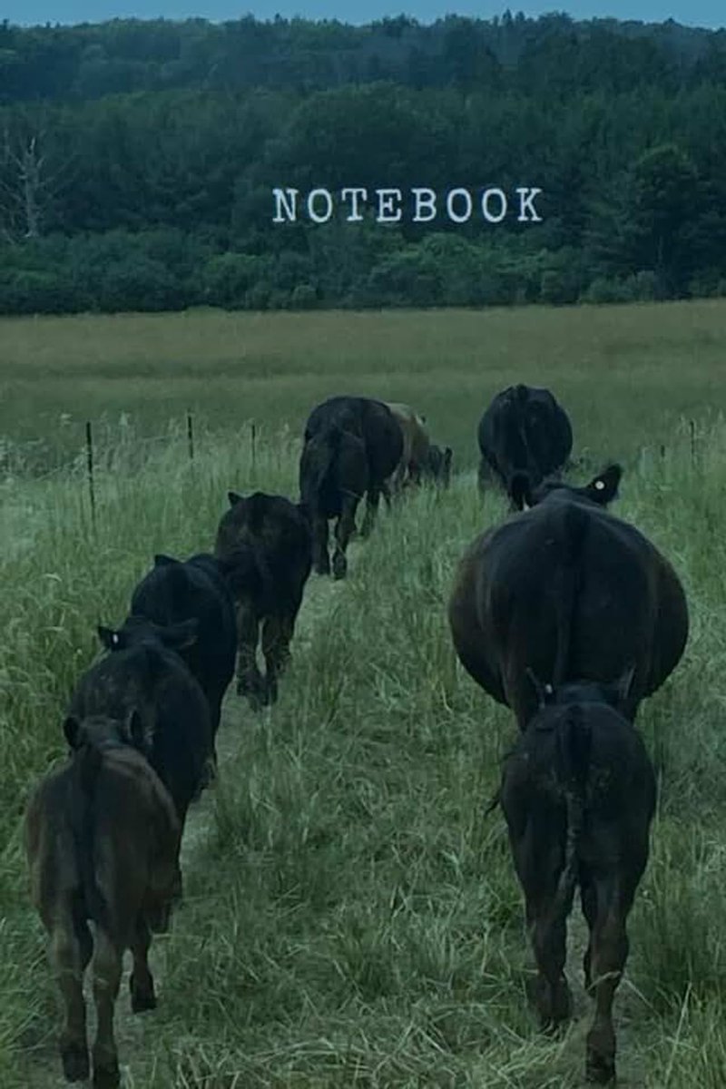 Cattle Drive, Lined Journal Notebook