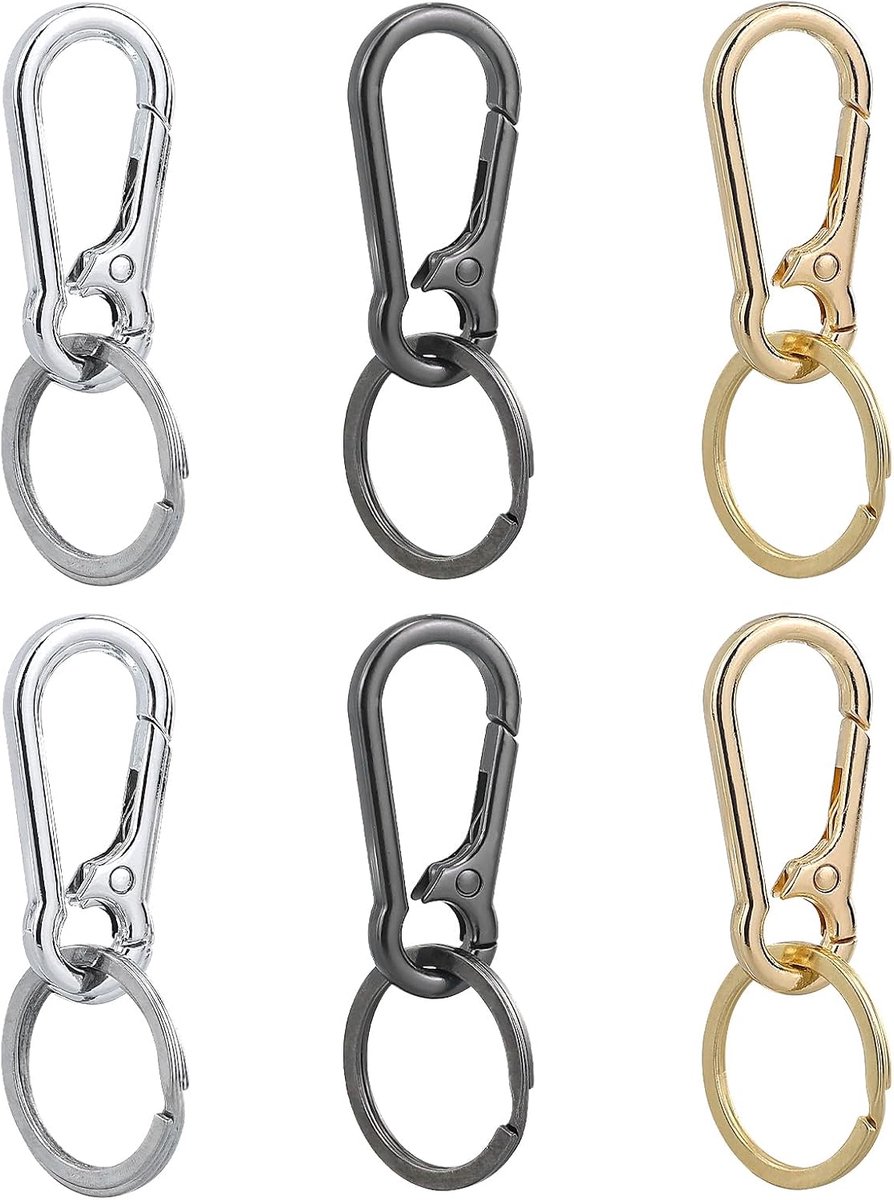 6 Stuks Afneembare Karabijnhaken, Carabiner Sleutelhangers, Karabijnhaken Sleutelhangers, Kleine Karabijnhaken Sleutelhangers, Sleutelringen met Karabijn voor Heren en Dames