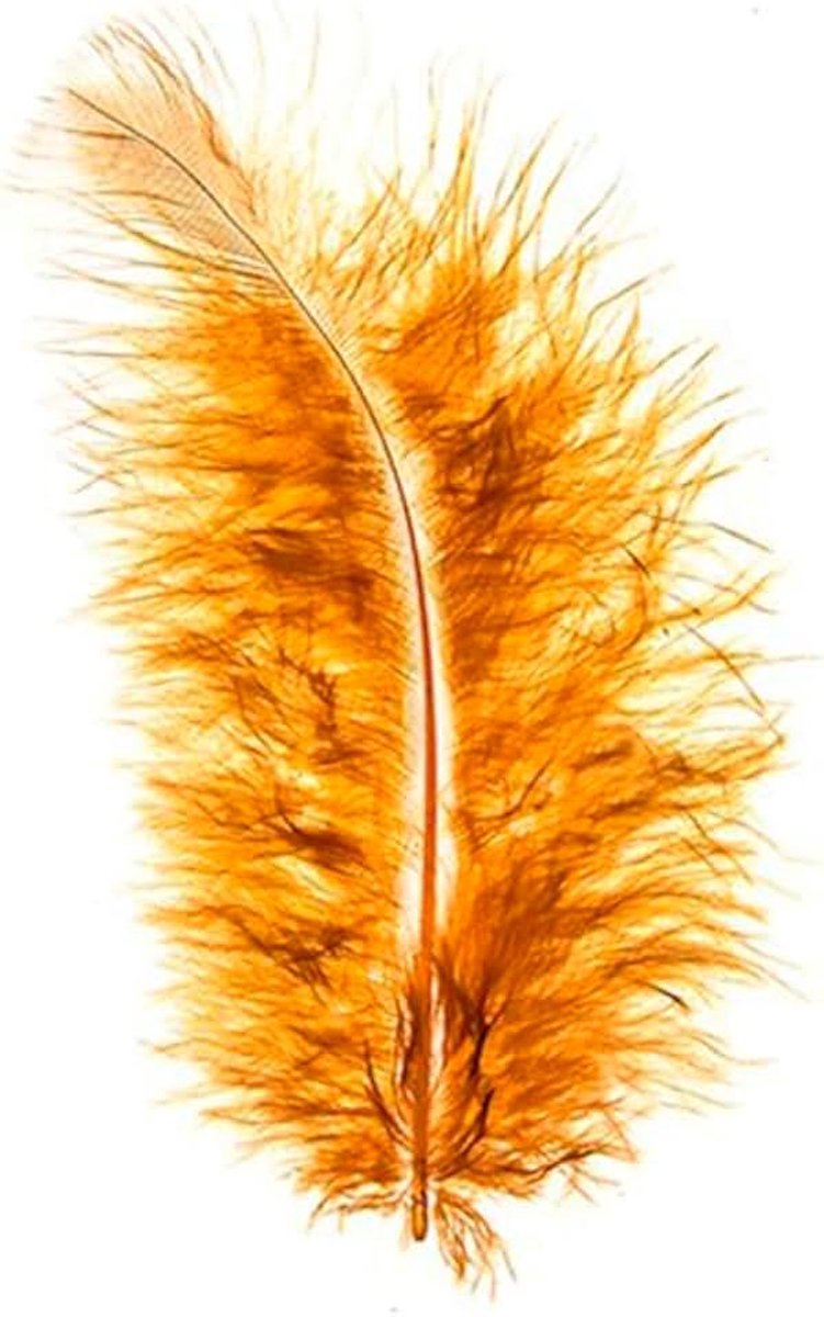 Veren, 10 g (komt overeen met ca. 90 veren), elk ca. 8 tot 10 cm lang. cognac