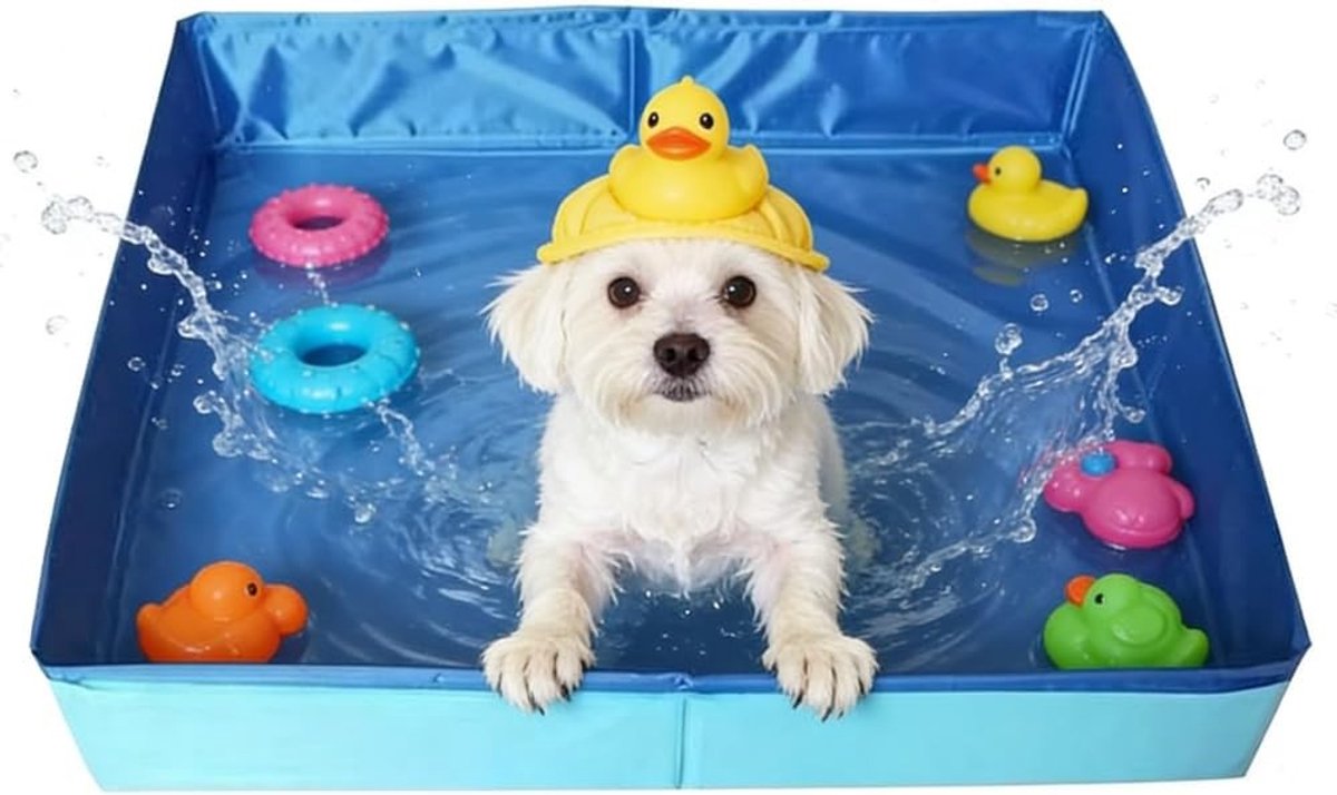 Opvouwbare Hondenbadkuip en Speelbad voor Kleine Honden en Katten, PVC, 50x50x10cm (Blauw) - Ideaal voor Zomerplezier en Dierenverzorging