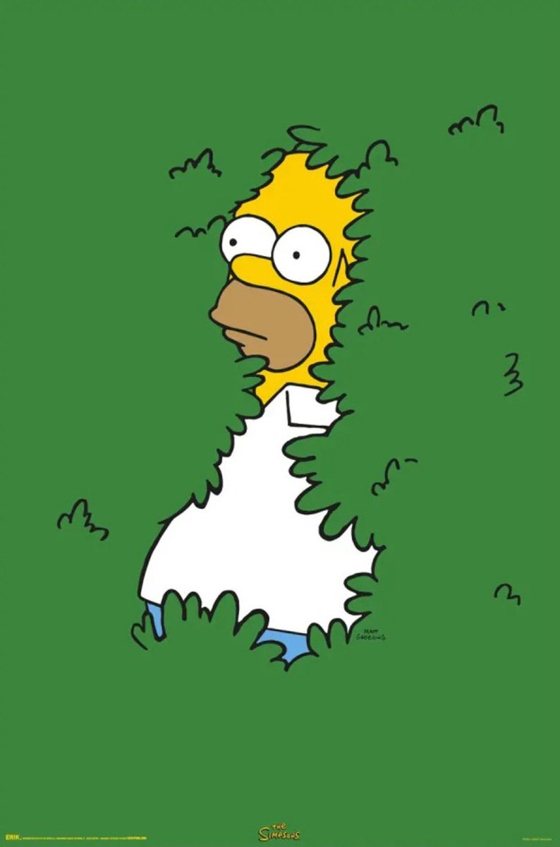 Grupo Erik Poster The Simpsons - Homer Bush 61x91,5cm Divers